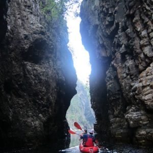 221b3aae7b02a88969de46e7f25ba522