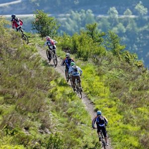 38e782f3570569da815767d01de9532c