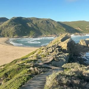 f4898036a8ada35046bed39ad4f5c413