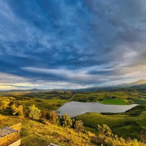 pexels-alexander-f-ungerer-157458816-31315435